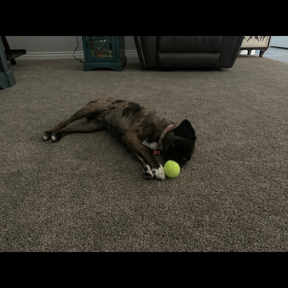 Meet your Posher, Lisa